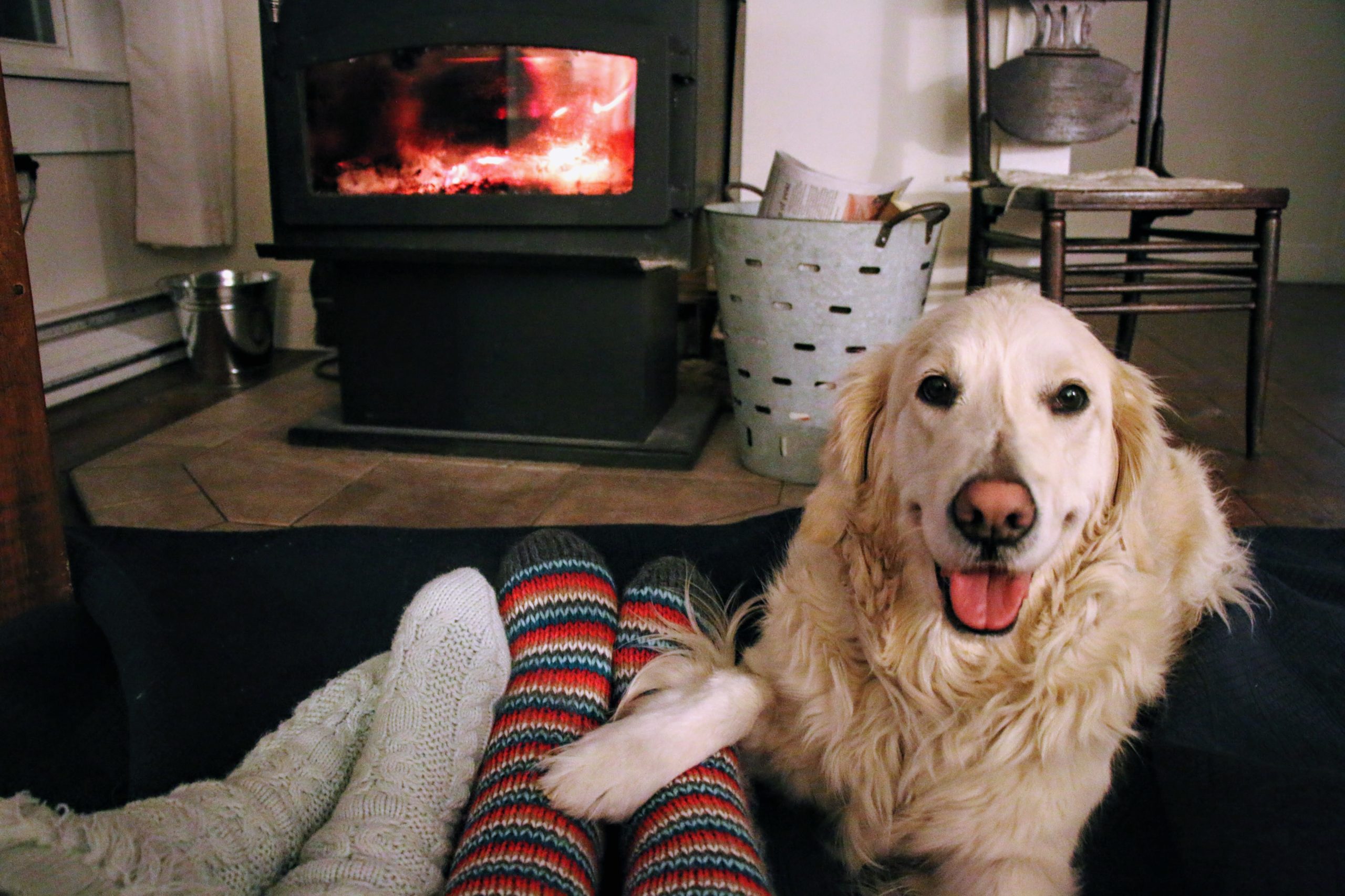 Resting by the fire with our dog Lily in captain's house cottage